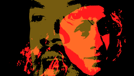 Sudden-Stars-in-The-Night-Zoo